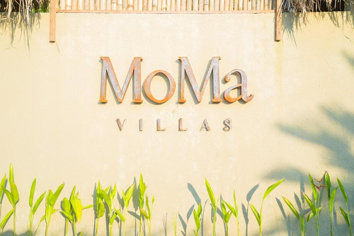 Moma Complex